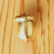AC-1203 Acorn