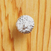 AC-1207 Acorn Cap